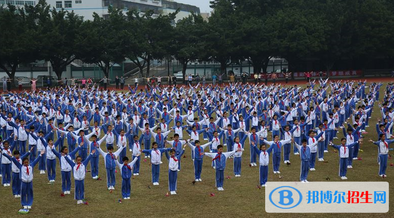 其前身是1975年成立的宝安县石岩中学,是经市,区教育主管部门批准设立