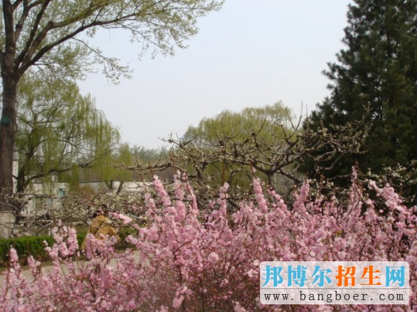 山东师范大学春临山师7089