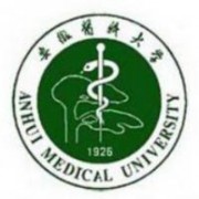 安徽医科大学临床医学院网站网址