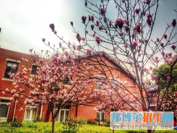 上海理工大学中英国际学院校园风景1368