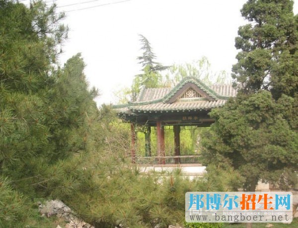 山东师范大学历山学院校园一角7096