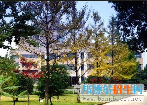 浙江工业大学校园一角3535