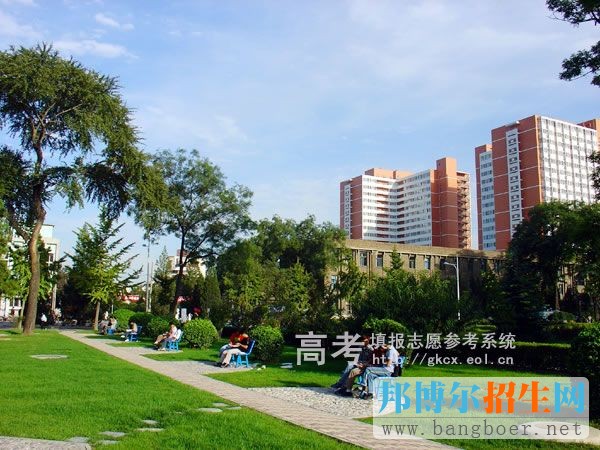 中国农业大学校园一角376