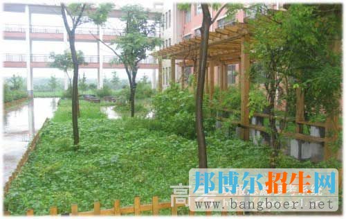 山东医药技师学院校园一角8499