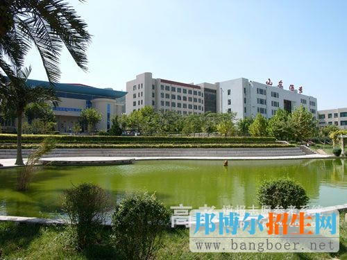 山东医学高等专科学校校园一角7595