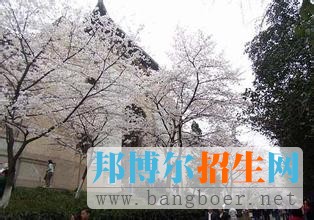 武汉大学