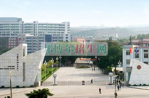 重庆三峡职业学院网站网址