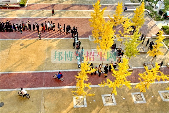 中央财经大学网站网址