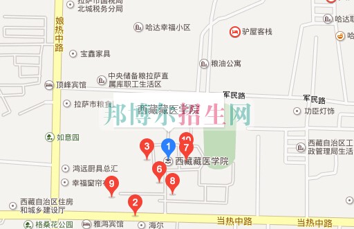 西藏藏医学院