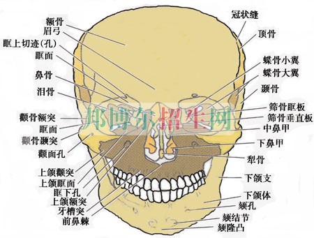 男生读口腔医学怎么样