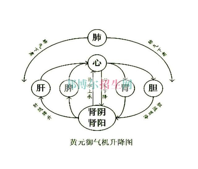 初中毕业可以学中医学吗