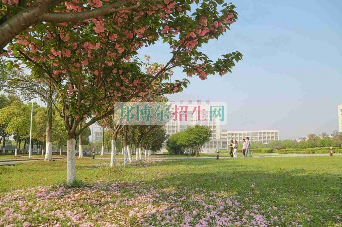 职业学校学校