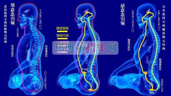 成都中医学好的大专有哪些