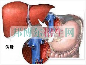 成都高中生读麻醉学怎么样