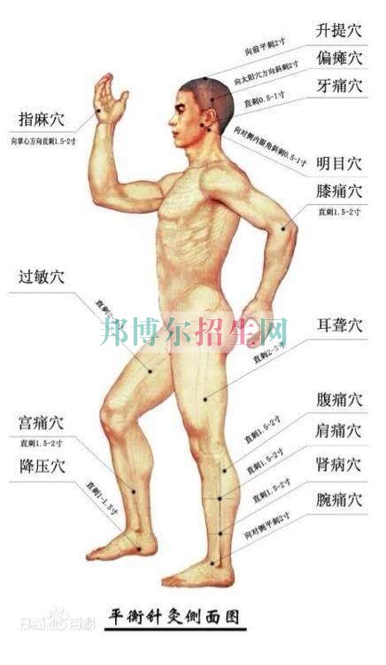 成都大专学校有哪些有针灸推拿