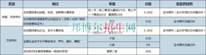 加分项目及规则