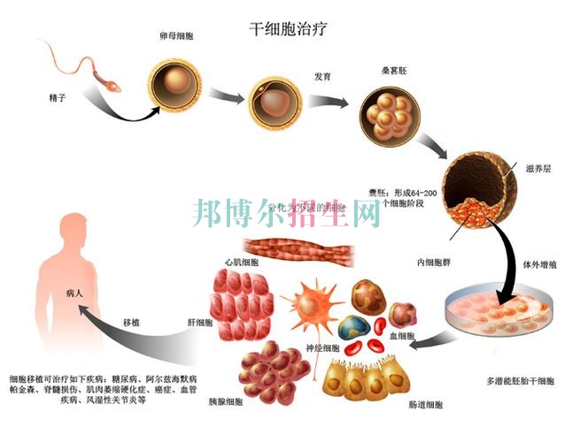 成都设有临床医学的公办大专学校