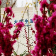 徐州生物工程职业技术学院中专部2022年有哪些专业