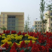 丰县职业技术教育中心2022年招生计划