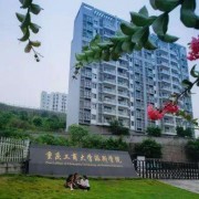 重庆工商大学派斯学院2019年单招录取分数线