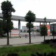 重庆工贸职业技术学院2019年单招录取分数线