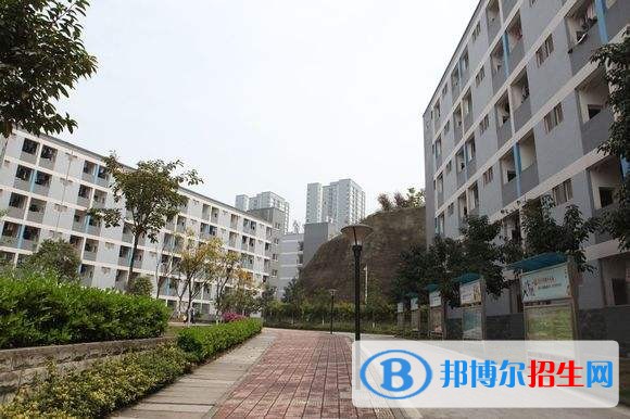 重庆城市管理职业学院单招报名条件