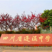 四川蓬溪中学
