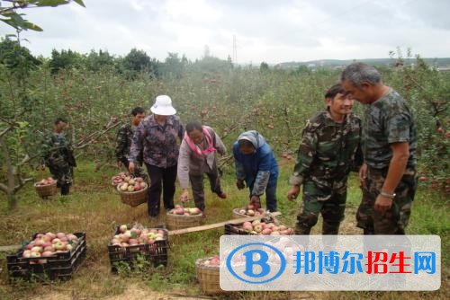 曲靖什么叫中专学校