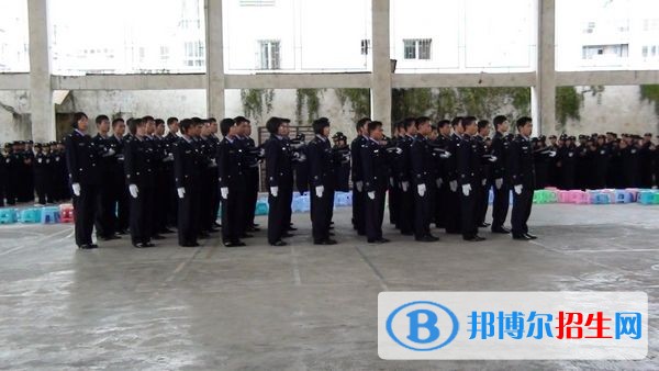 红河中专学校都能学什么