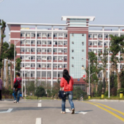 湖南电子科技职业学院2019年单招录取分数线