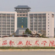 湘西民族职业技术学院2019年单招录取分数线