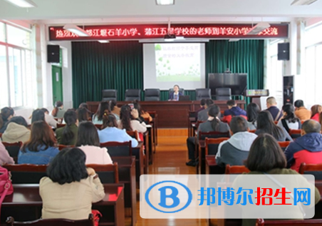 都江堰石羊镇中学2022年招生代码