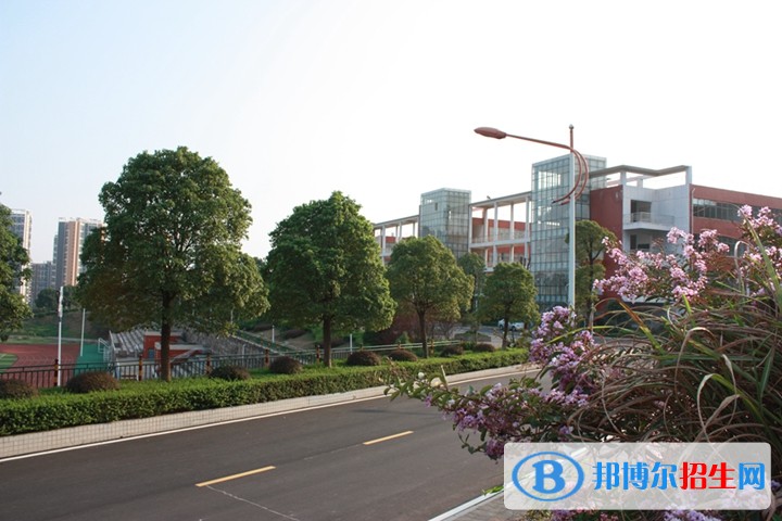 长沙南方职业学院2019年单招录取分数线