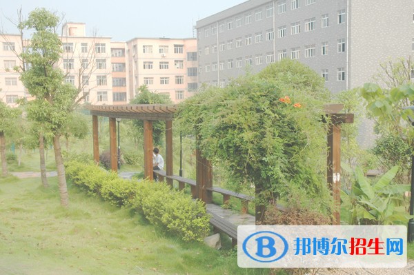 湖南电子科技职业学院单招成绩查询时间