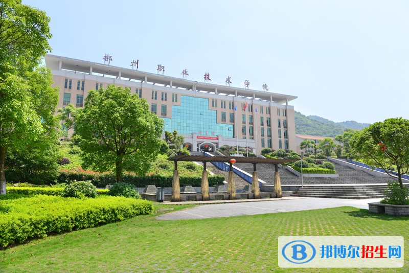 郴州职业技术学院2019年单招录取分数线