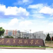 武汉职业技术学院2019年单招录取分数线