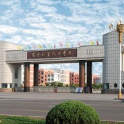 濮阳职业技术学院2020年单招录取分数线