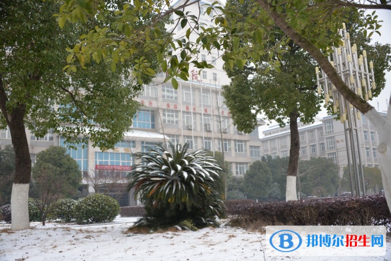 长江工程职业技术学院单招报名条件
