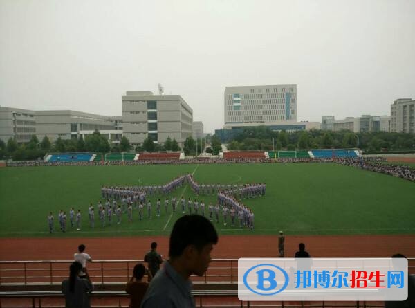 河南艺术职业学院2019年单招录取分数线