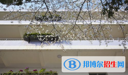 湖北艺术职业学院单招报名时间