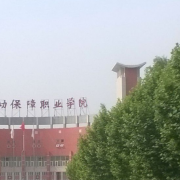 北京劳动保障职业学院2019年单招录取分数线