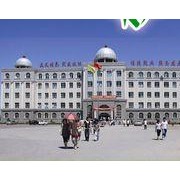 新疆石河子职业技术学院2019年单招录取分数线