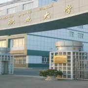 新疆职业大学单招2019年单独招生录取分数线