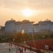 广西经济职业学院单招2019年单独招生报名时间、网址入口