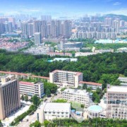 广西生态工程职业技术学院单招2019年单独招生录取分数线