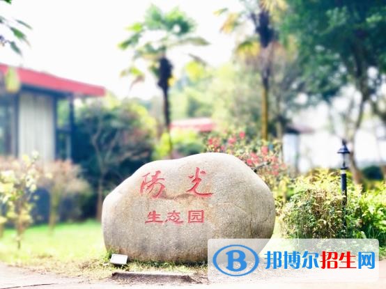 乐山医药科技学校高级技工学校6