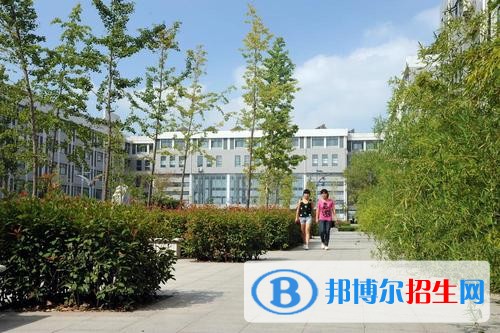 山东理工职业学院单招2019年单独招生成绩查询、网址入口