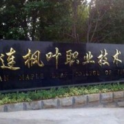 大连枫叶职业技术学院单招2019年单独招生录取分数线