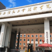 陕西信息工业技师学院2022年招生录取分数线