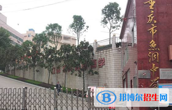 重庆鱼洞中学2022年报名条件、招生要求、招生对象